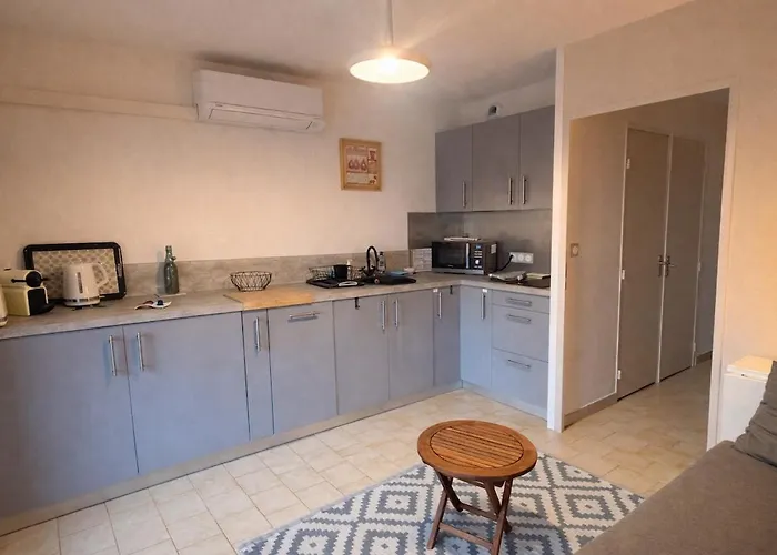 New L'orangeraie Avec Terrasse Apartment *