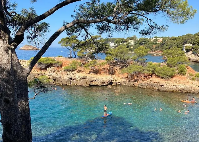 Appartamento New L'orangeraie Avec Terrasse Bandol